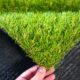 AstroTurf is Poisoning Our Kids