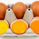 Beyond Orange Yolks: the Truth about Egg Quality Beyond Color