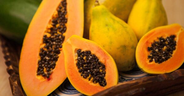 Beyond the Rainbow: Unraveling the GMO Papaya Story and Its Implications for Our Future