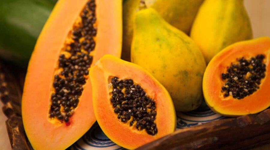 Beyond the Rainbow: Unraveling the GMO Papaya Story and Its Implications for Our Future