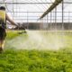 A Guide to Pesticide-Free Produce Shopping in 2023