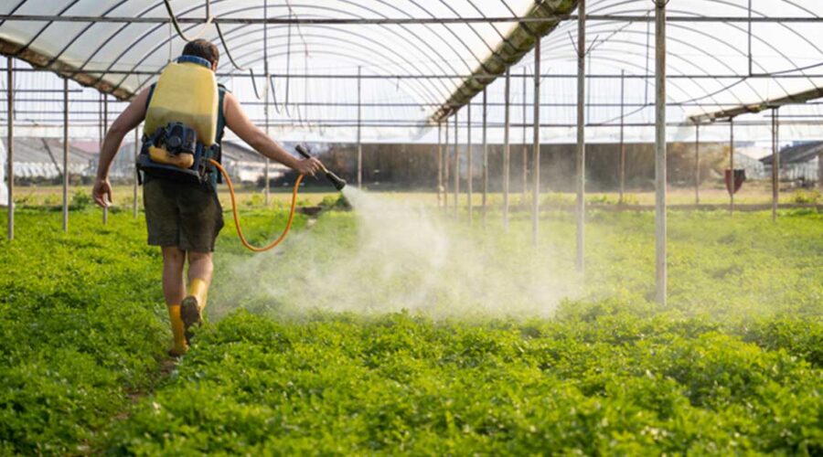 Decoding the Dirty Dozen and Clean Fifteen: A Guide to Pesticide-Free Produce Shopping in 2023