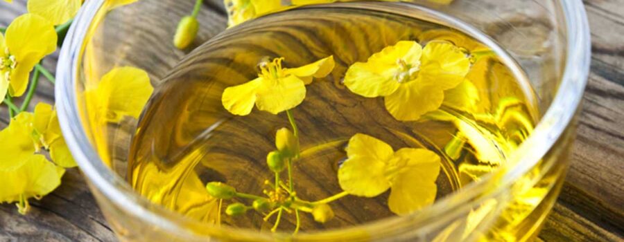 A Dad's Guide to Canola Oil: What You Need to Know for Your Family's Kitchen