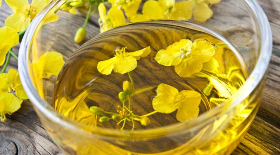 A Dad's Guide to Canola Oil: What You Need to Know for Your Family's Kitchen