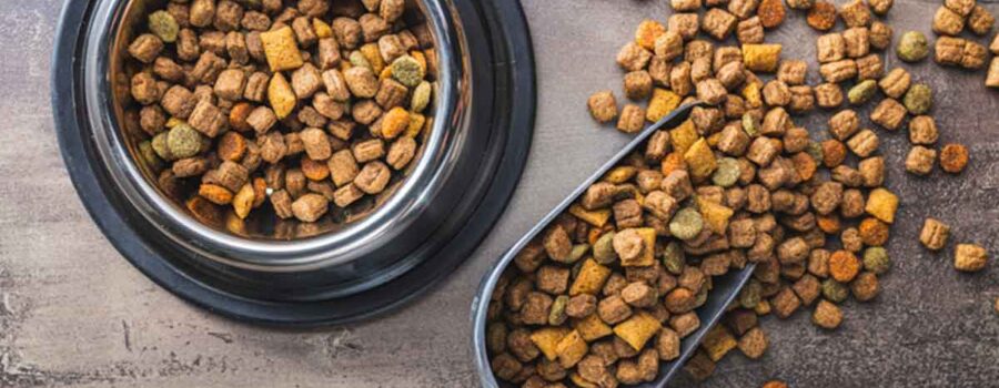 Decoding Pet Food: What Every Family Should Know About Ethoxyquin