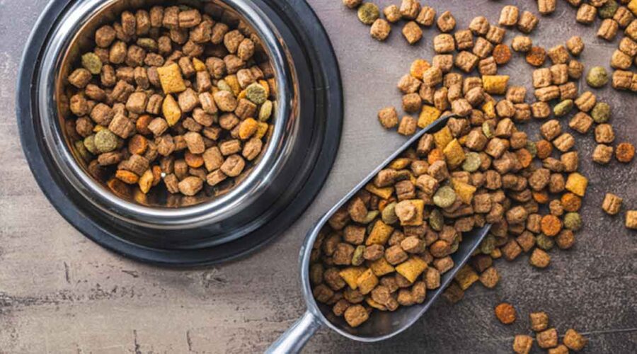 Decoding Pet Food: What Every Family Should Know About Ethoxyquin