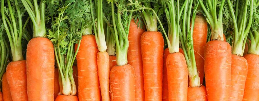 Carrots: Can They Really Turn You Orange!?