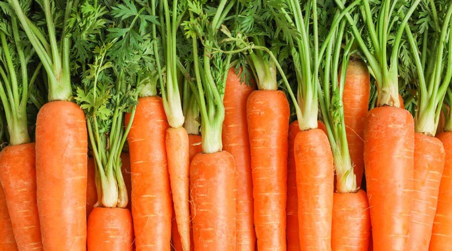 Carrots: Can They Really Turn You Orange!?