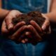 Dad’s Guide to Soil-Based Organisms: Nature’s Probiotics