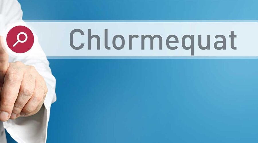 Invisible Danger: Chlormequat Chloride in Our Pantry