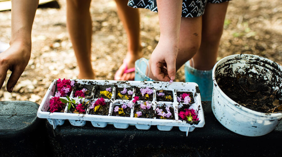 Nature's Probiotics: Fun Mud Pie Craft for Kids!