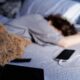 Why You Shouldn’t Snuggle Up with Your Charging iPhone