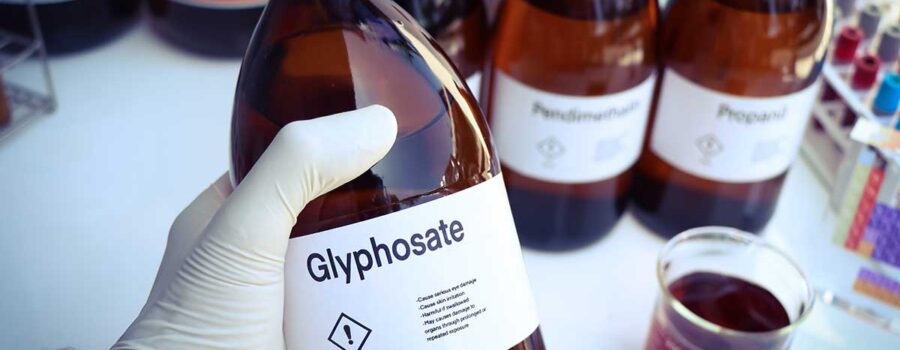 In Our Food, Water, Air: Is Glyphosate Safe?