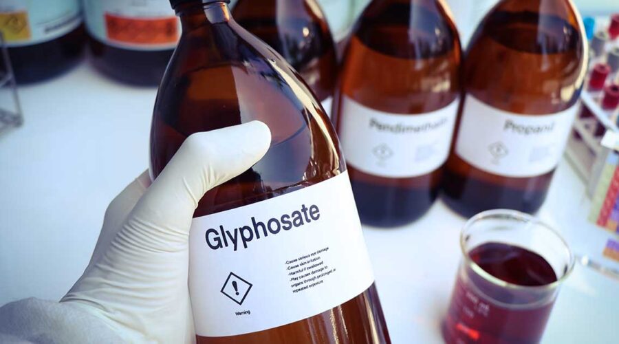 In Our Food, Water, Air: Is Glyphosate Safe?