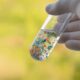 Microplastics in the Family Jewels: What You Need To Know