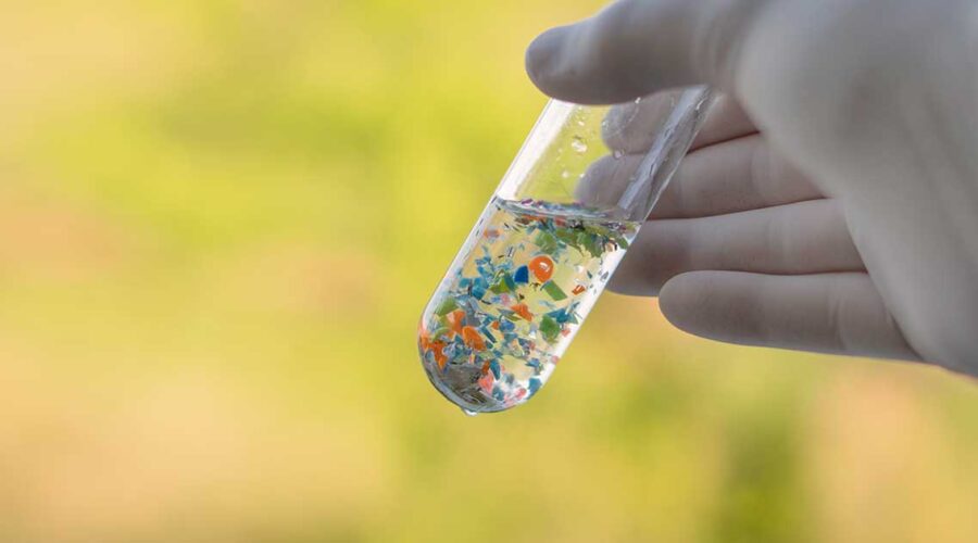 Microplastics in the Family Jewels: What You Need To Know