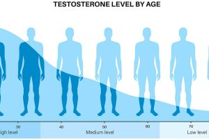 The Silent Epidemic: Low Testosterone in Young Men
