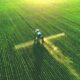 American vs. UK Farms: Pesticide Standards and Residue