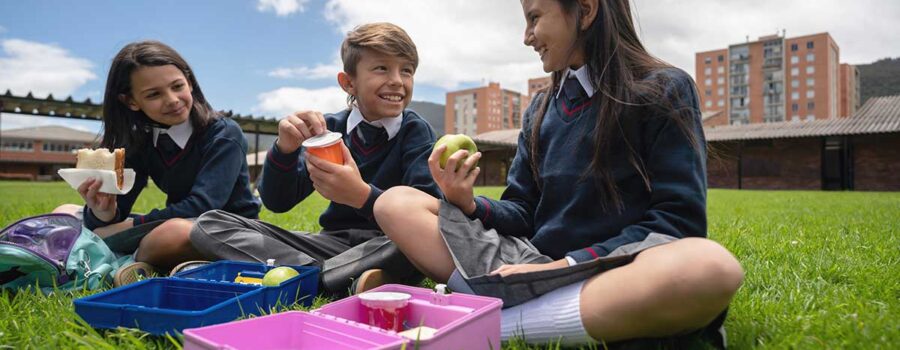 Are Your Kid’s Lunchboxes Safe? What You Need to Know