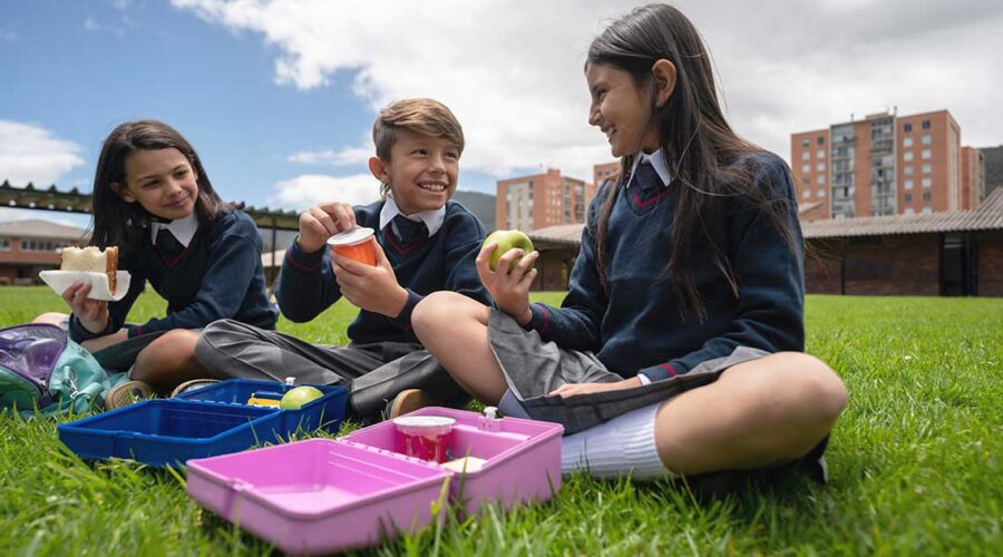 Are Your Kid’s Lunchboxes Safe? What You Need to Know