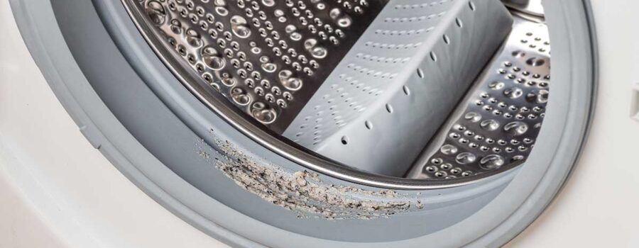 Is Your Washing Machine Harboring Mold?