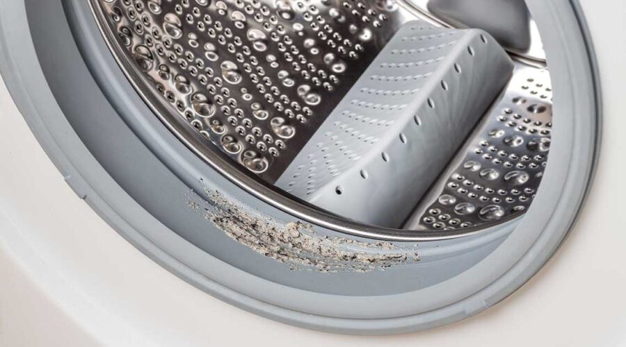 Is Your Washing Machine Harboring Mold?