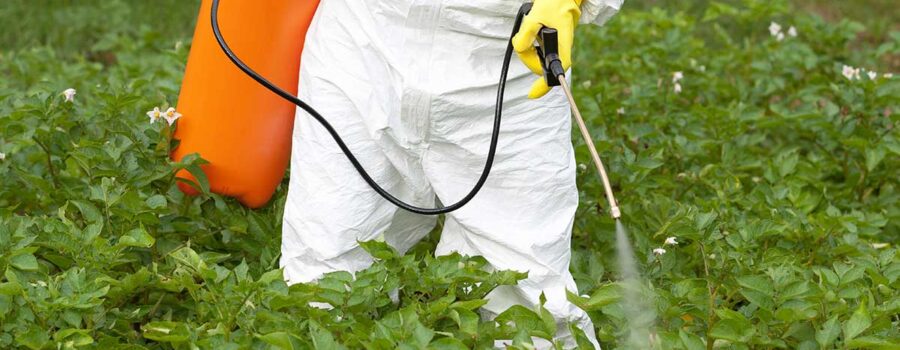 The Hidden Dangers of Glyphosate in Your Food