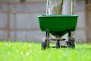 3 Lawn Products to Stop Using for Your Health and the Planet