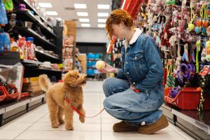 3 Things I’ll Never Buy at Pet Stores—and What I Choose Instead