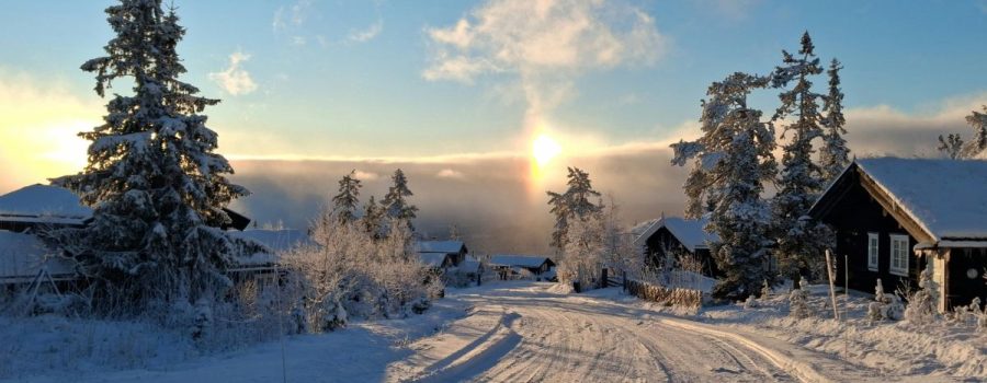 Understanding Seasonal Affective Disorder in the Depth of Winter